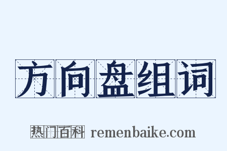 方向盘组词是什么意思的图片